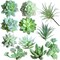 11PCS Mini Artificial Succulent Picks – Flocked Faux Succulents Assortment for Mother’s Day Card Making, DIY Crafts, Wreaths, Terrariums & Home Decor